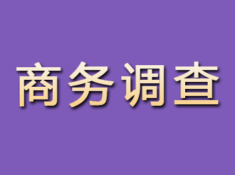 曾都商务调查